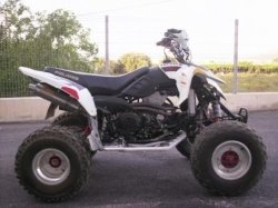 Quad - Polaris Predator Troy Lee